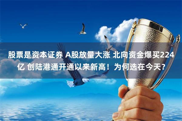 股票是资本证券 A股放量大涨 北向资金爆买224亿 创陆港通开通以来新高！为何选在今天？