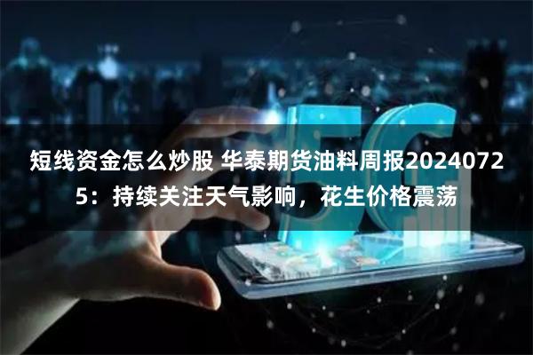 短线资金怎么炒股 华泰期货油料周报20240725：持续关注天气影响，花生价格震荡
