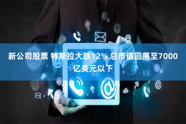 新公司股票 特斯拉大跌12% 总市值回落至7000亿美元以下