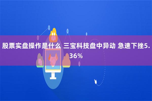 股票实盘操作是什么 三宝科技盘中异动 急速下挫5.36%