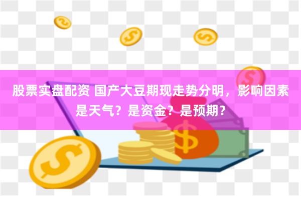 股票实盘配资 国产大豆期现走势分明，影响因素是天气？是资金？是预期？