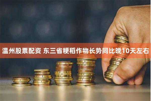 温州股票配资 东三省粳稻作物长势同比晚10天左右