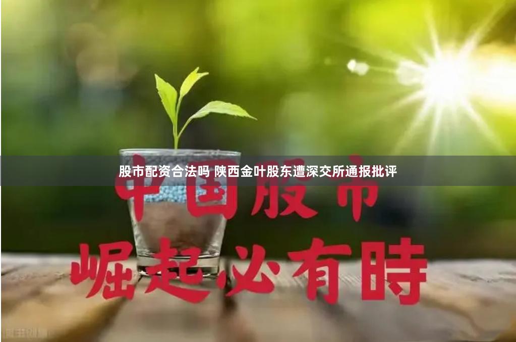 股市配资合法吗 陕西金叶股东遭深交所通报批评