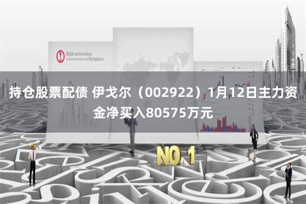 持仓股票配债 伊戈尔（002922）1月12日主力资金净买入80575万元