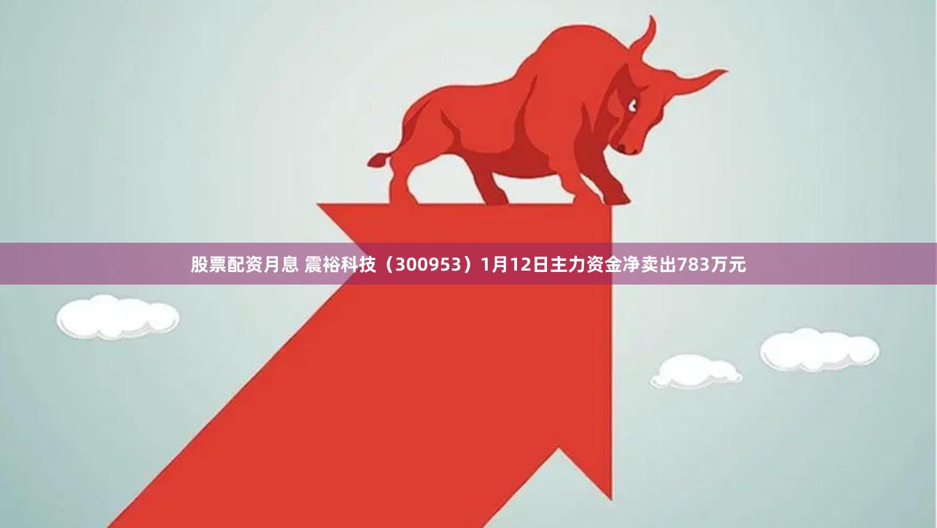 股票配资月息 震裕科技（300953）1月12日主力资金净卖出783万元