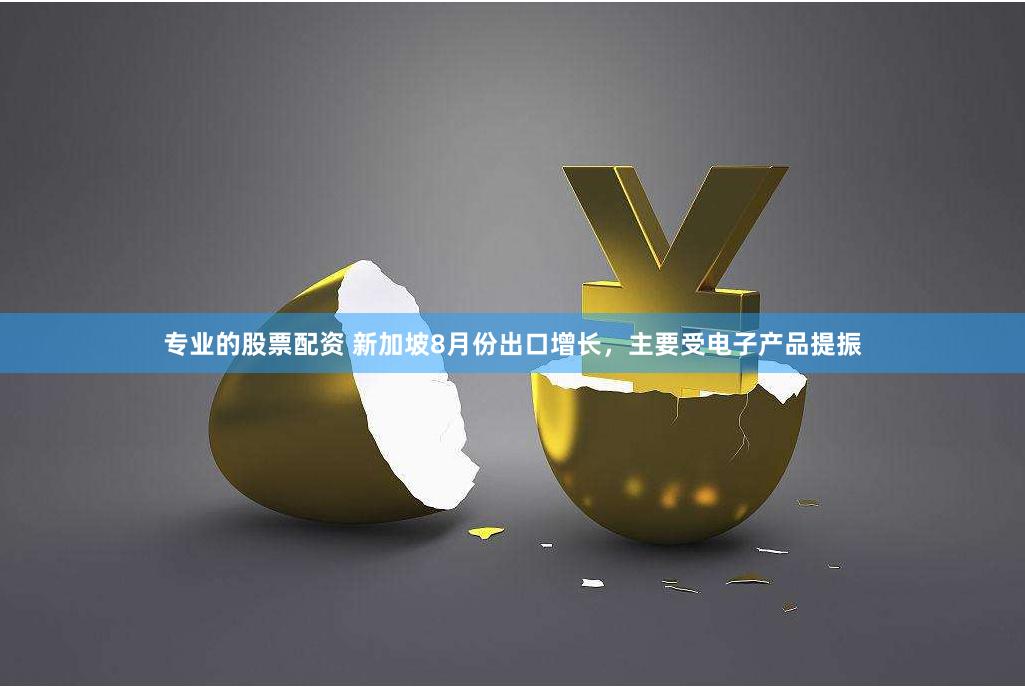 专业的股票配资 新加坡8月份出口增长，主要受电子产品提振