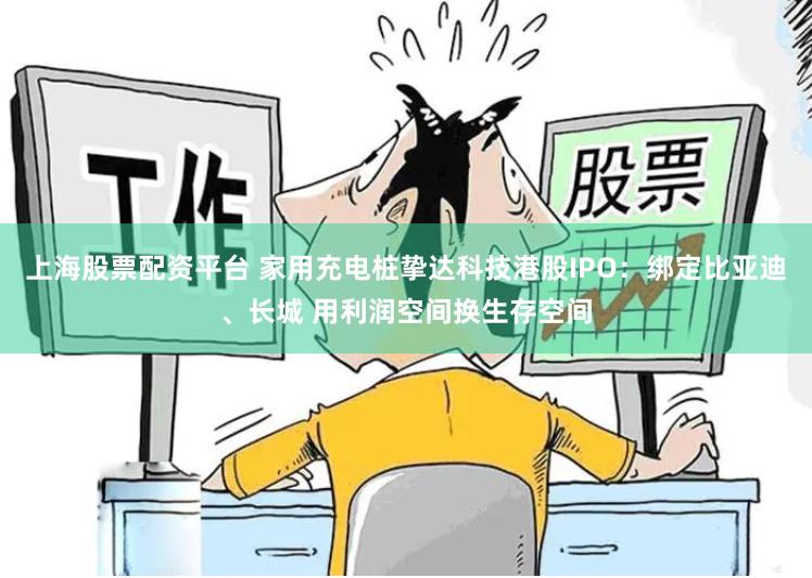 上海股票配资平台 家用充电桩挚达科技港股IPO：绑定比亚迪、长城 用利润空间换生存空间
