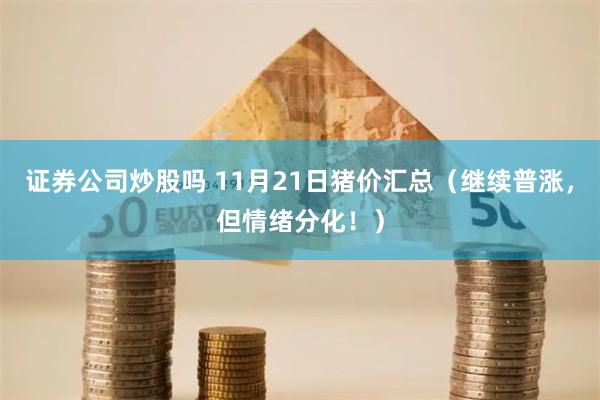 证券公司炒股吗 11月21日猪价汇总（继续普涨，但情绪分化！）